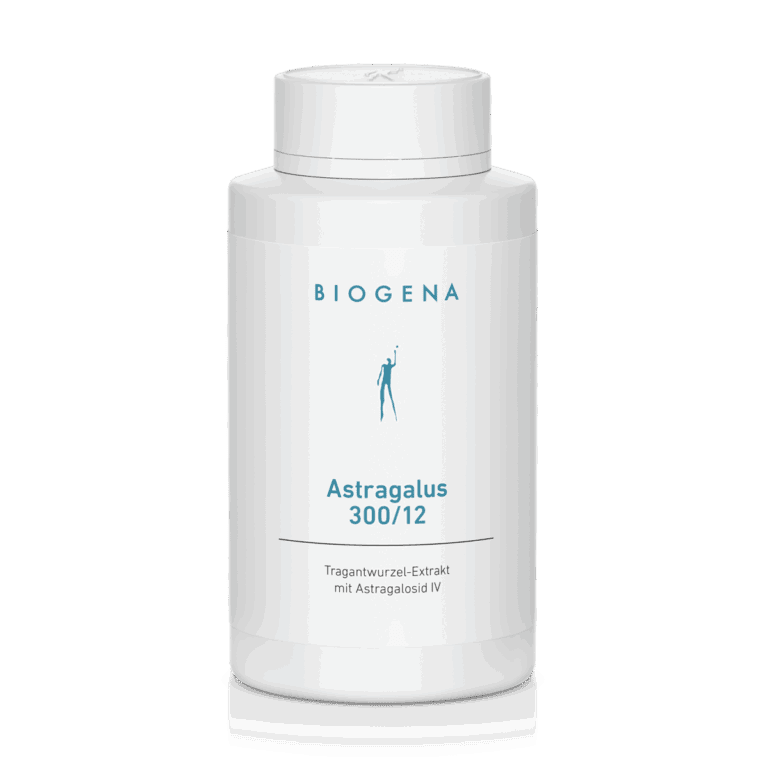Astragalus 300/12 – 120 Kapseln (61 g)