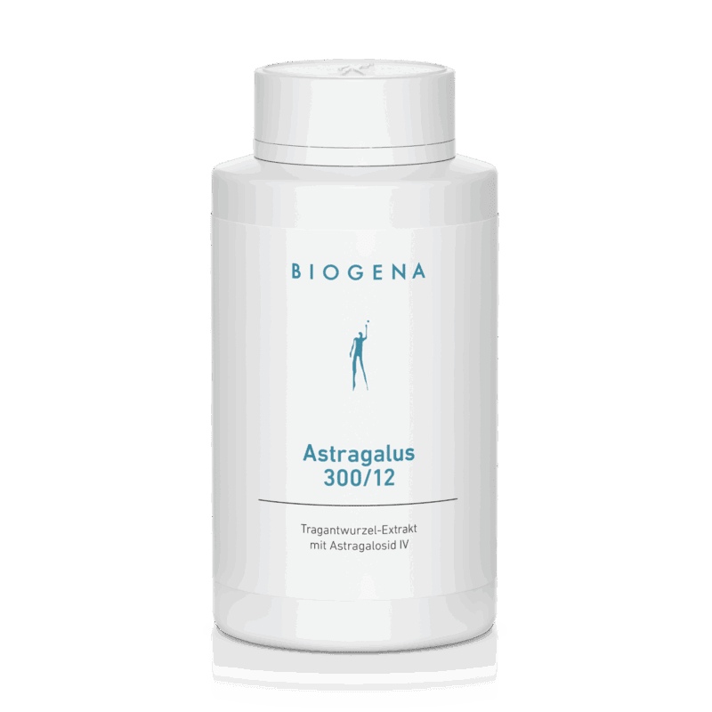 Astragalus 300/12 – 120 Kapseln (61 g)