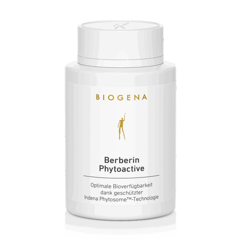 Berberin Phytoactive Gold – 90 Kapseln (50 g)