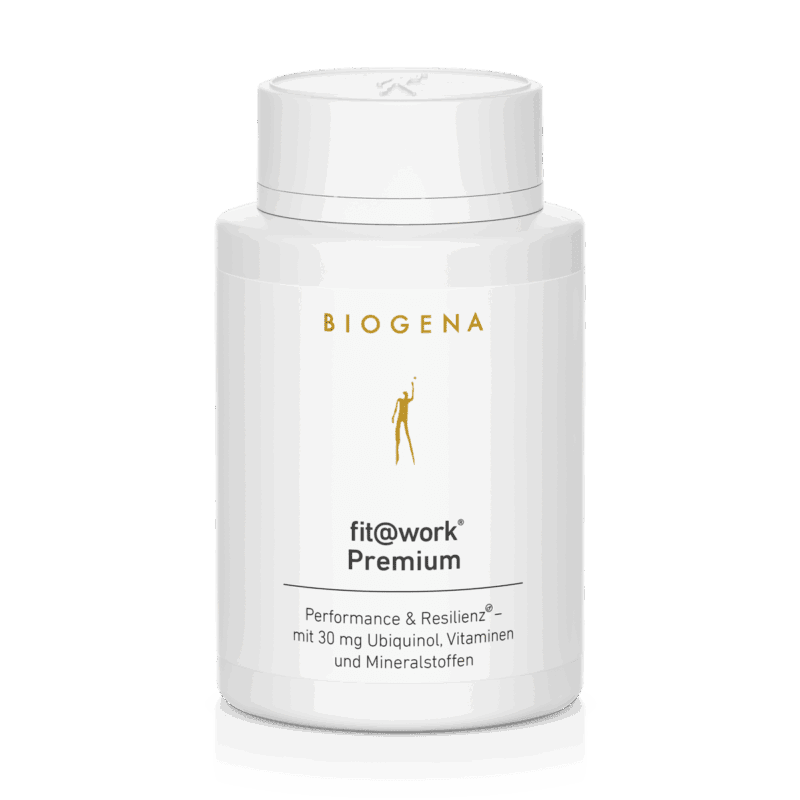 fit@work® Premium Gold – 60 Kapseln (59 g)