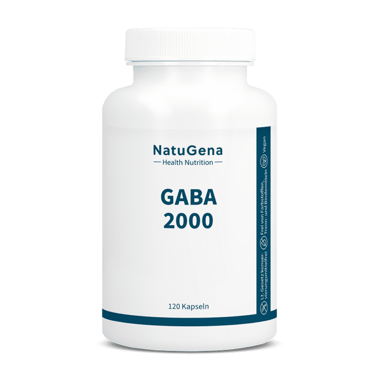 GABA 2000