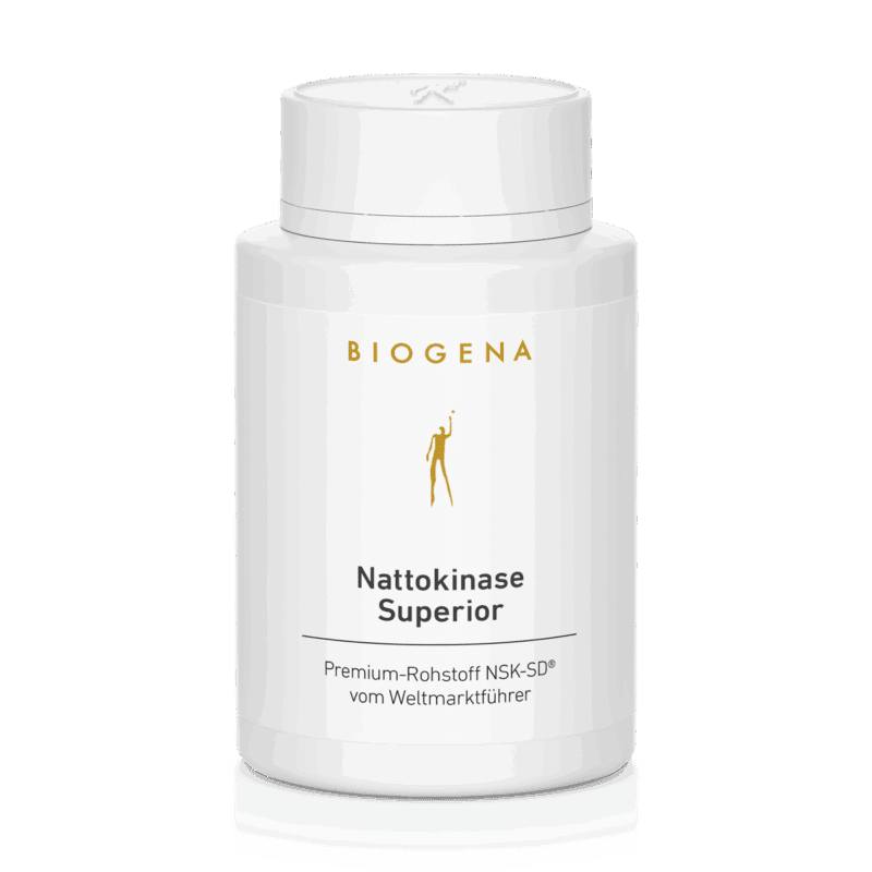 Nattokinase Superior – 60 Kapseln (13 g)