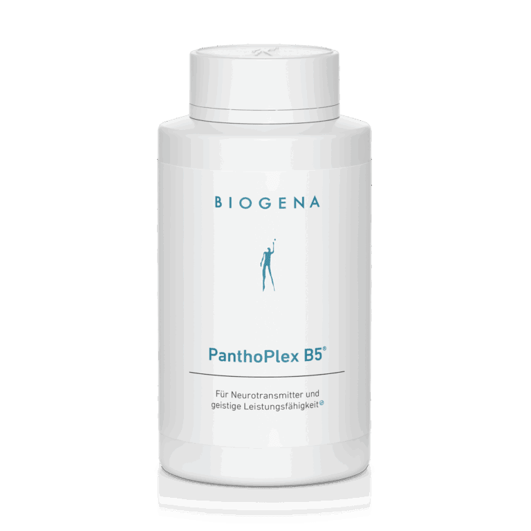 PanthoPlex B5® – 120 Kapseln (88 g)