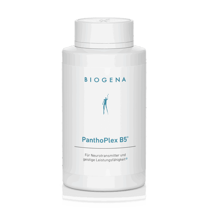 PanthoPlex B5® – 120 Kapseln (88 g)