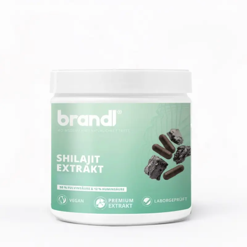 Shilajit Extrakt Kapseln – 120 Kapseln