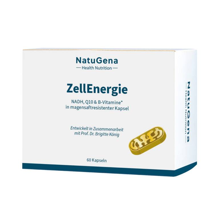 ZellEnergie