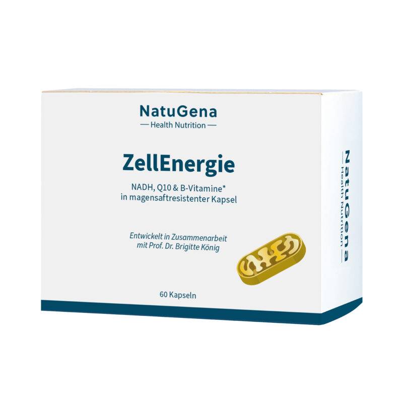 ZellEnergie