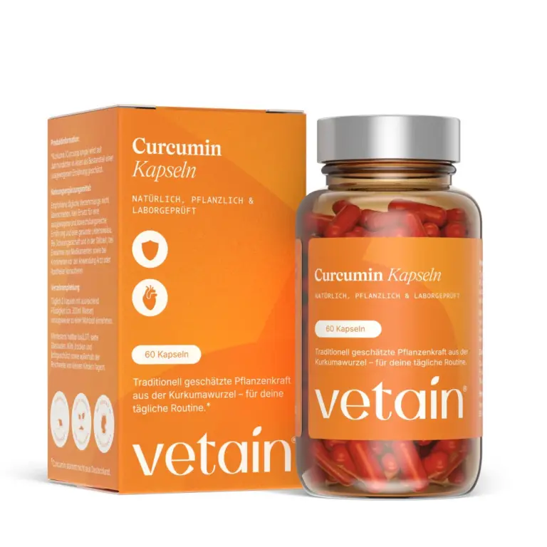 Curcuma – 60 Kapseln