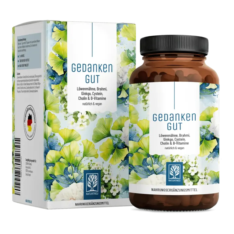 Gedankengut: Löwenmähne, Brahmi, Ginkgo, Cystein, Cholin & B-Vitamine
