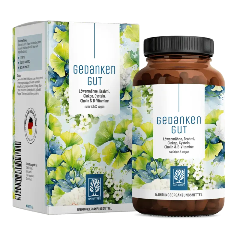 Gedankengut: Löwenmähne, Brahmi, Ginkgo, Cystein, Cholin & B-Vitamine