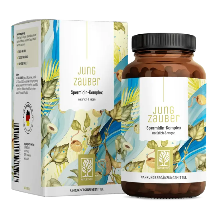 Jungzauber: Spermidin-Komplex