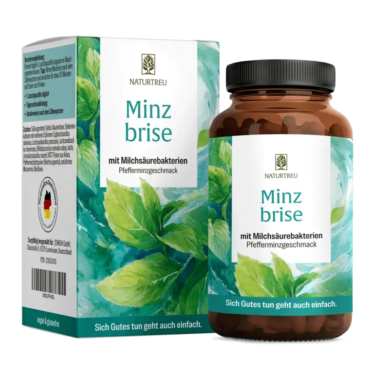 Minzbrise mit Milchsäurebakterien
