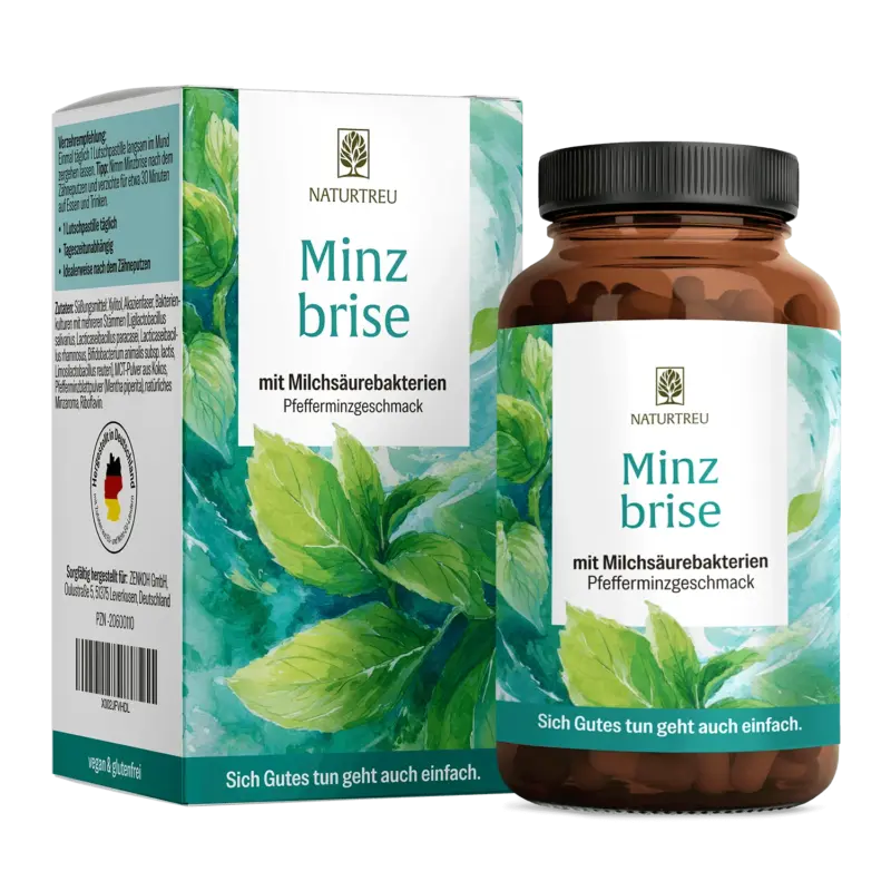 Minzbrise mit Milchsäurebakterien