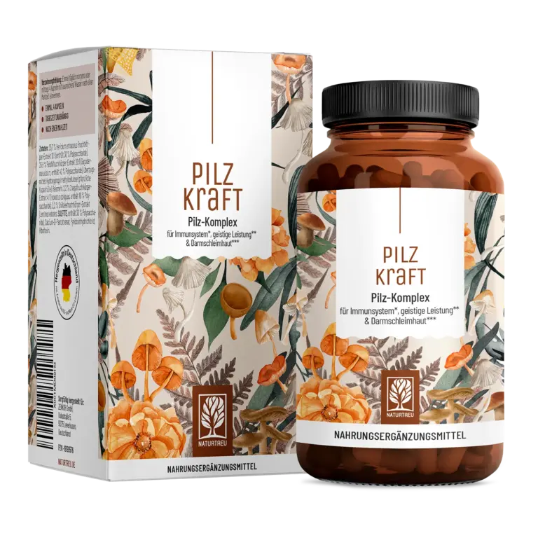 Pilzkraft: Reishi, Shiitake, Chaga & Löwenmähne – 1 Dose