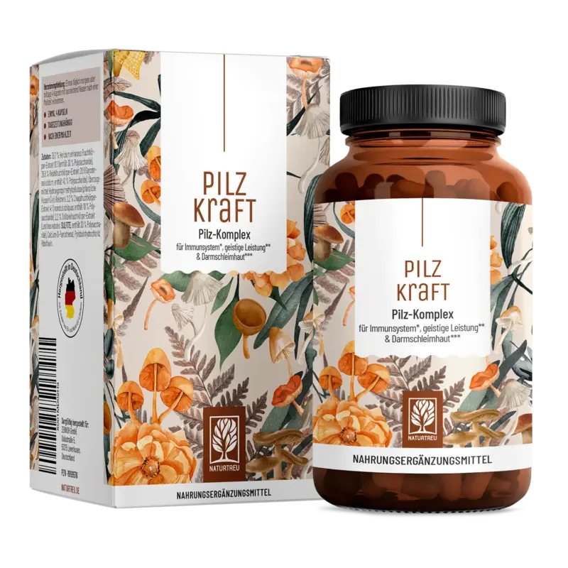 Pilzkraft: Reishi, Shiitake, Chaga & Löwenmähne – 1 Dose