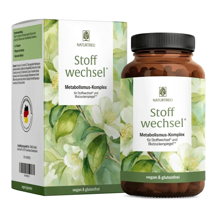 Stoffwechsel: Metabolismus-Komplex für Stoffwechsel und Blutzuckerspiegel – 1 Dose (65 g)