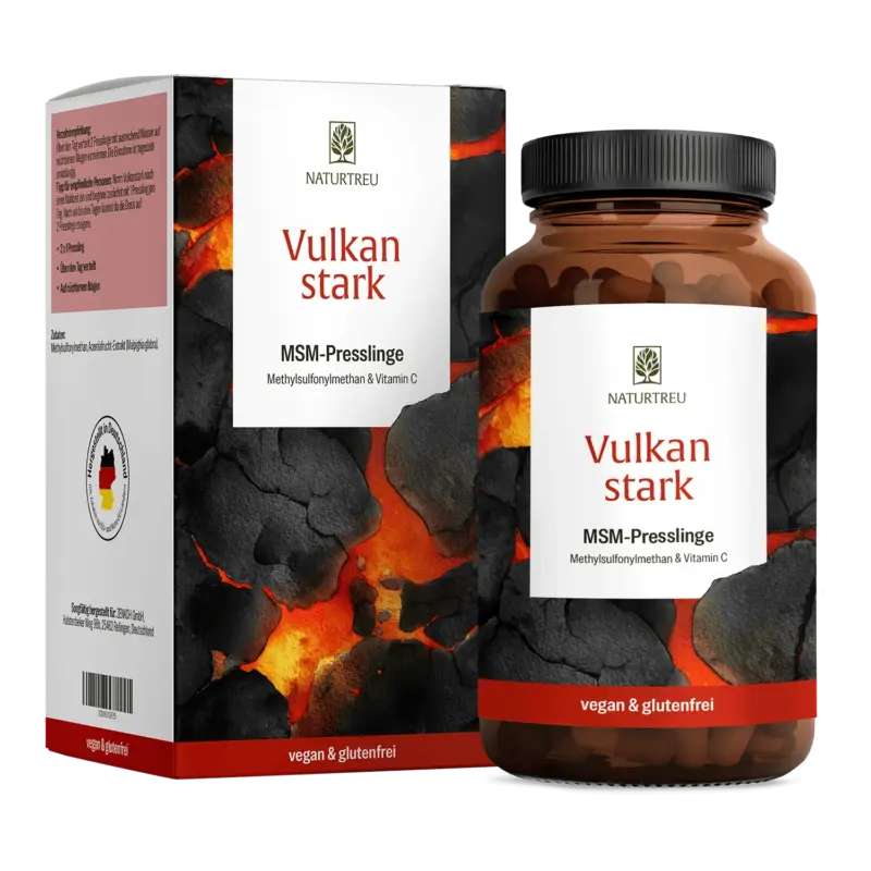 Vulkanstark: MSM-Komplex mit Vitamin C – 1 Dose